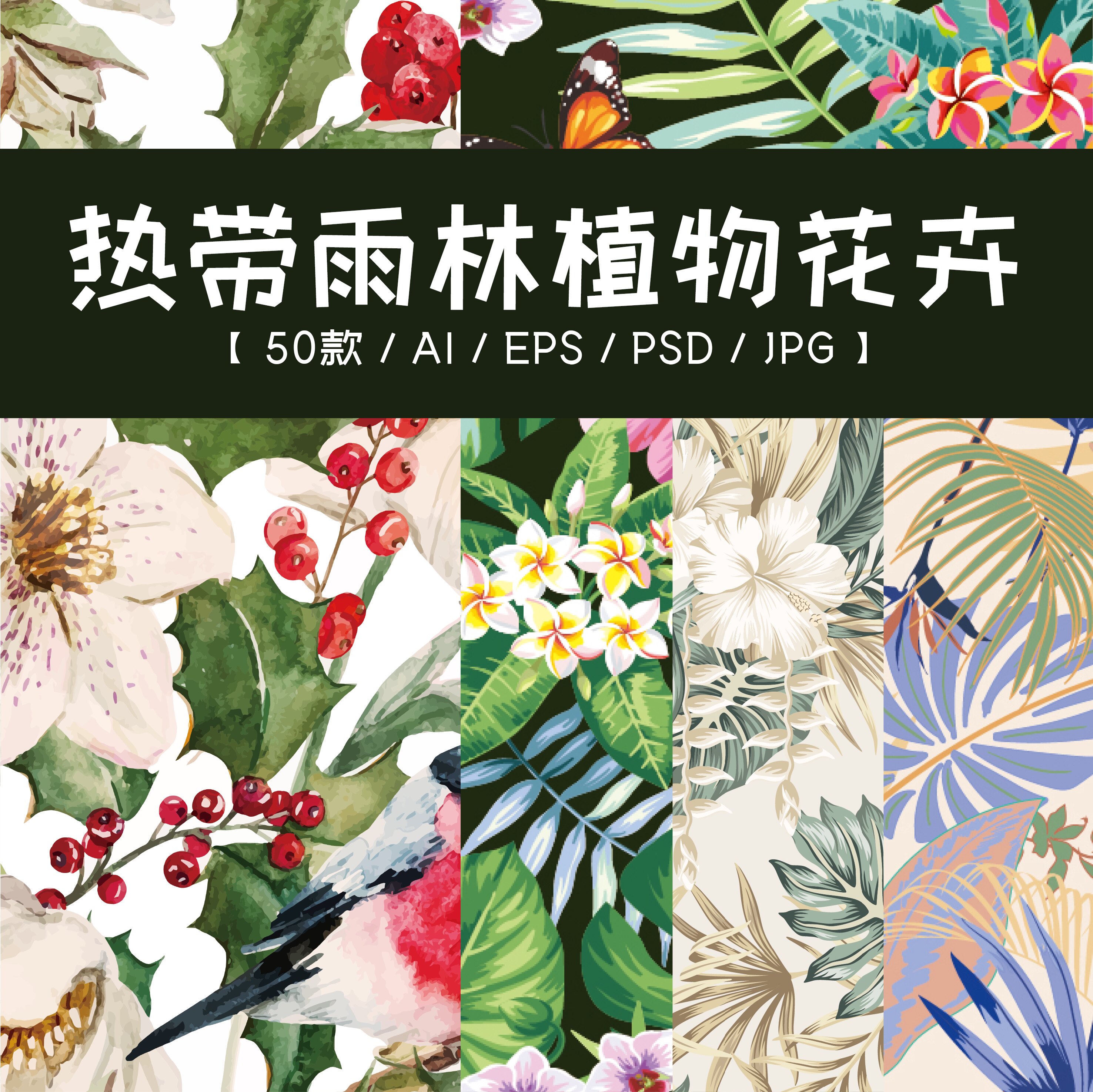 精选雨林植物花卉图案合集