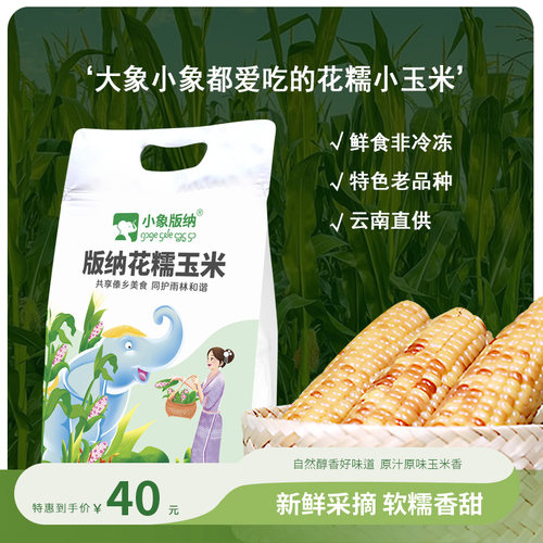 小玉米版纳香甜软糯1000克/袋