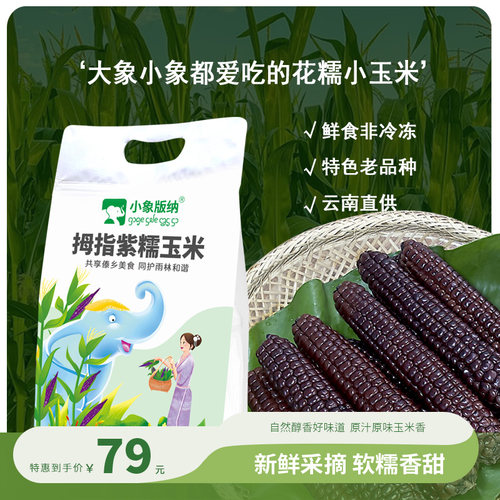 《小象版纳》拇指紫糯玉米 早餐主食 香甜软糯 1kg