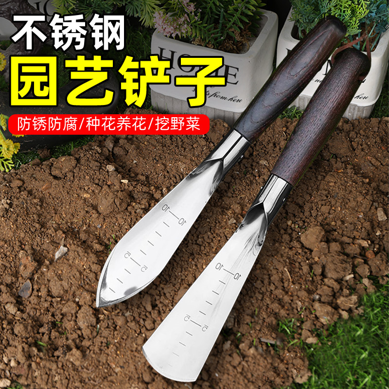 不锈钢小铲子种花养花多肉家用盆栽花盆松土挖土野菜赶海园艺工具,鲜花速递/花卉仿真/绿植园艺,铲子,淘宝优惠券,粉丝福利购,淘宝优惠卷