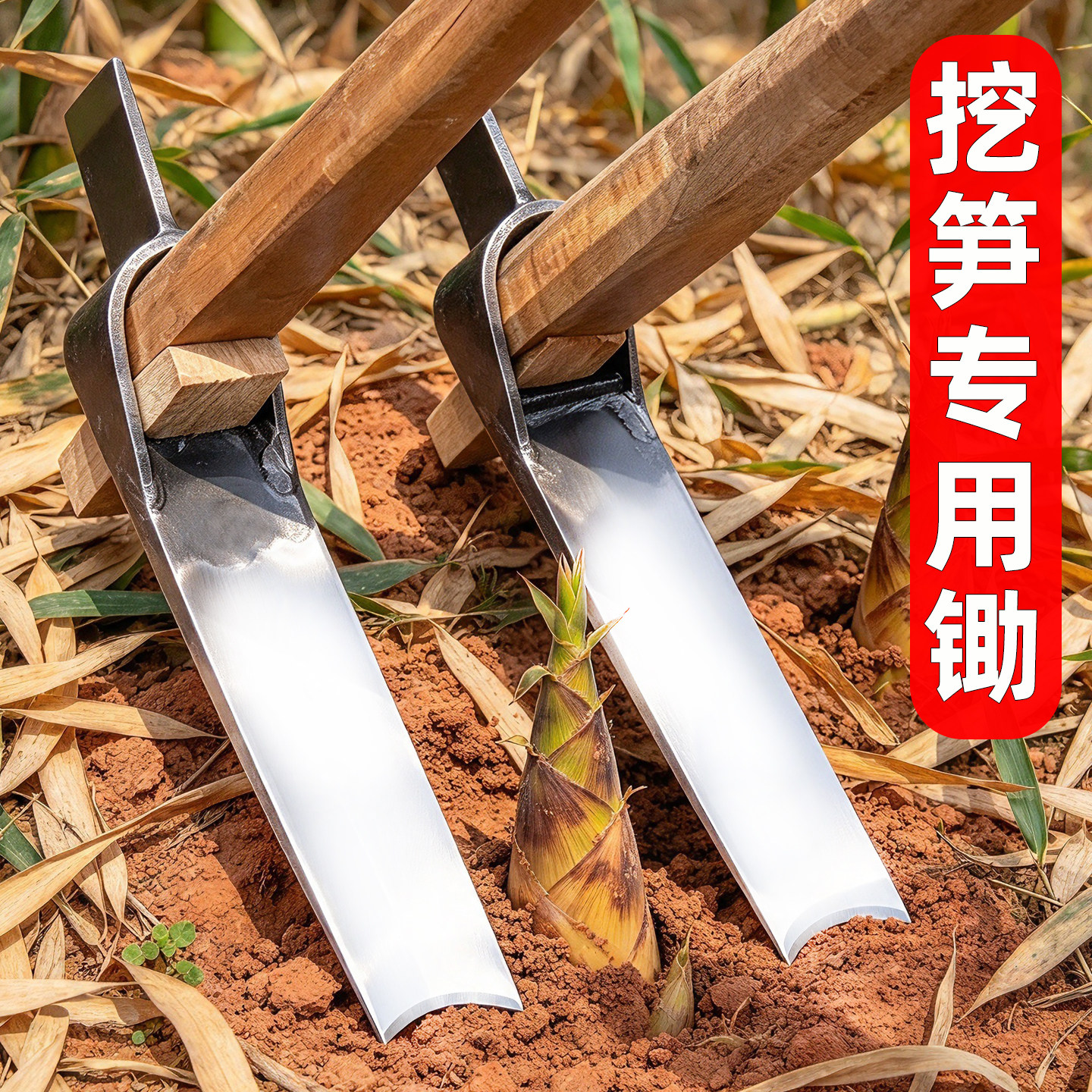 挖冬笋春笋树桩锄头弹簧钢板手工锻打两用专用洋镐挖硬土挖笋竹笋