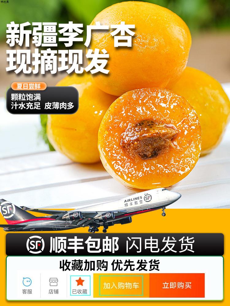正宗新疆李广杏新鲜水果时令孕妇水果礼盒杏子3/5斤整箱顺丰直发