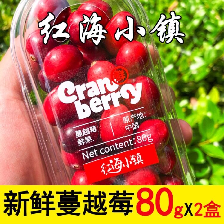 Cranberry新鲜蔓越莓鲜果80g*2盒脆酸水果黑龙江特产抚远浆果