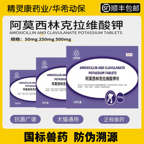 华希动保阿莫西林克拉维酸钾片宠物消炎狗猫感冒药50/250/500mg