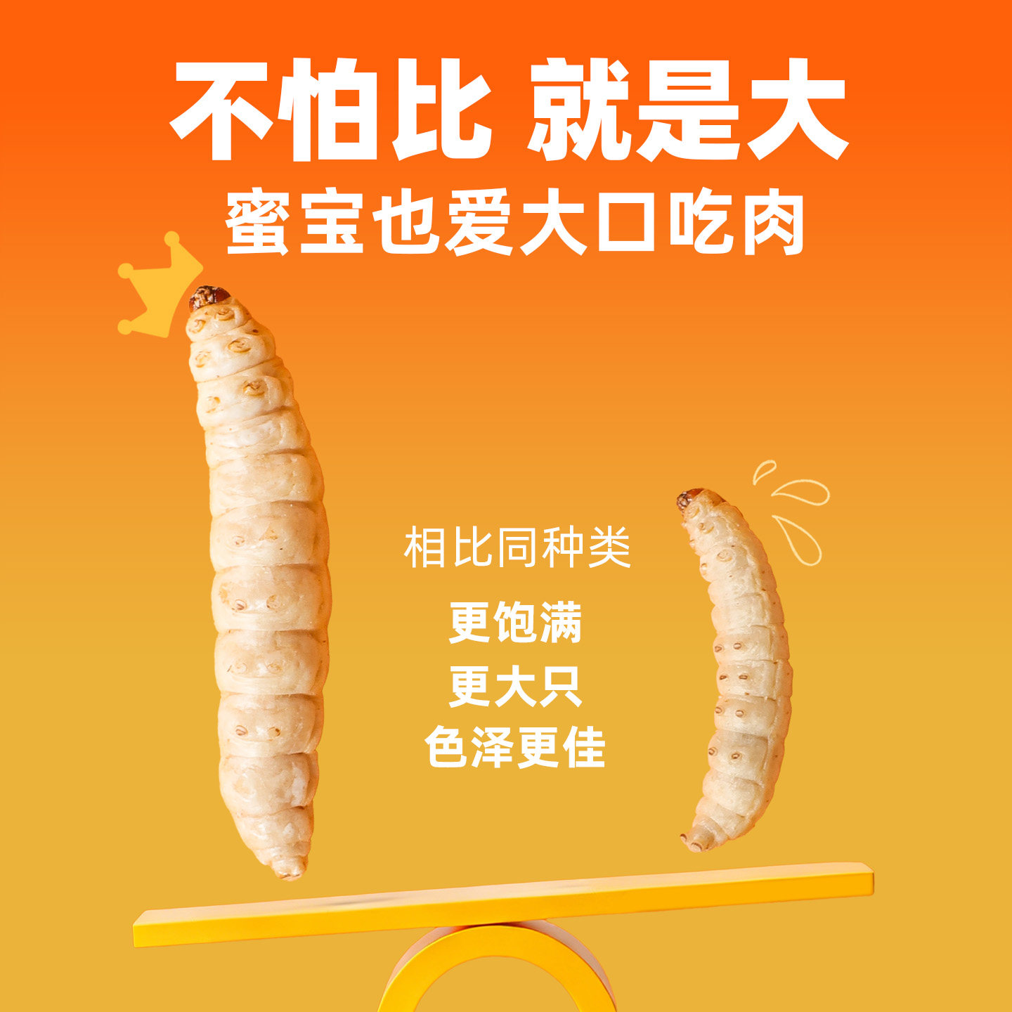 小农山蜜袋鼯粮食零食蜜粮冻干蜂蜜玉米虫仓鼠金丝熊松鼠花枝食物