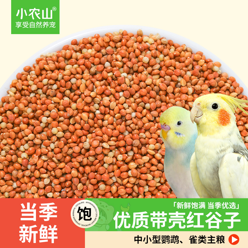 鹦鹉芦丁鸡鸟粮饲料带壳红谷子