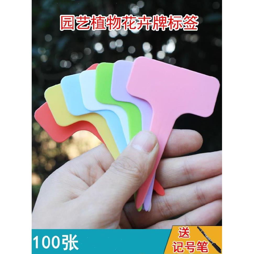 兰花记录浇水绿植插地牌记录标签标签牌微景观记录卡花签混色花木