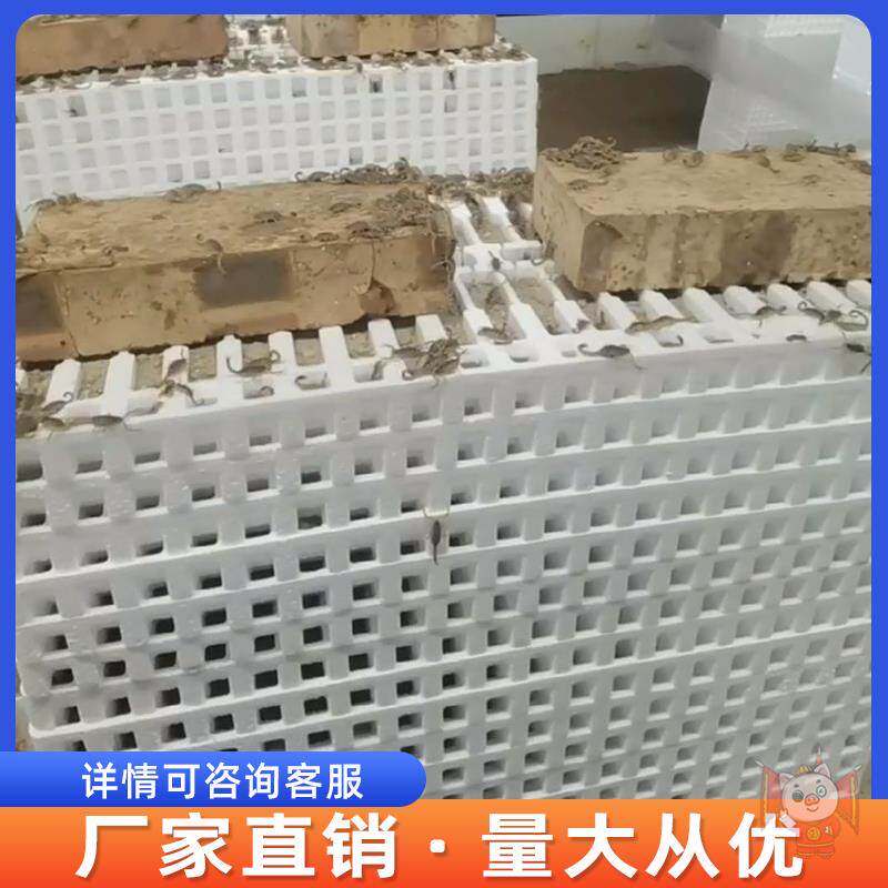 蝎子养殖泡沫箱新款40穴群养蜕皮孵化人工养殖饲养专用工具蝎子窝
