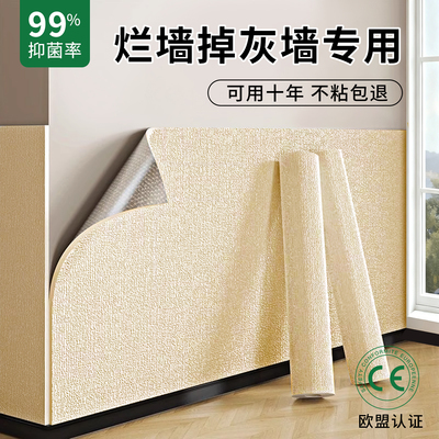 【十年不掉】掉灰脱皮发霉墙专用