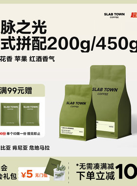 SLABTOWN山脉之光甜橙 浅烘意式拼配 商用现磨精品黑咖啡豆粉美式
