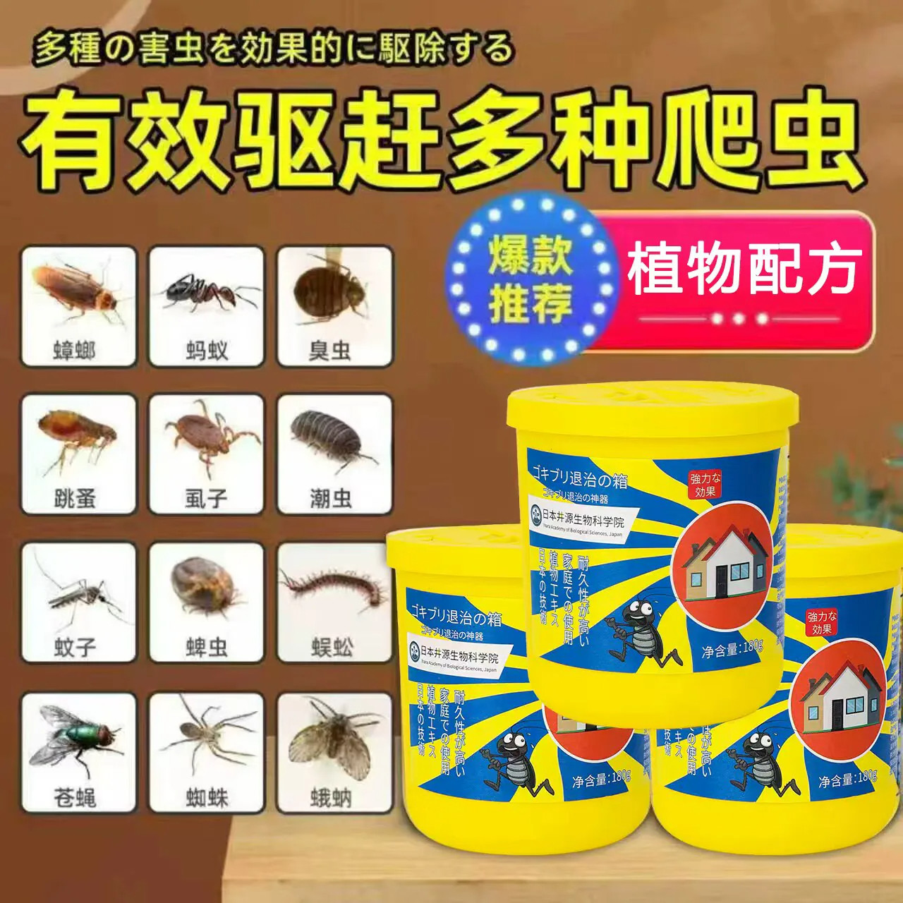 日本家用无毒诱饵盒灭蟑螂