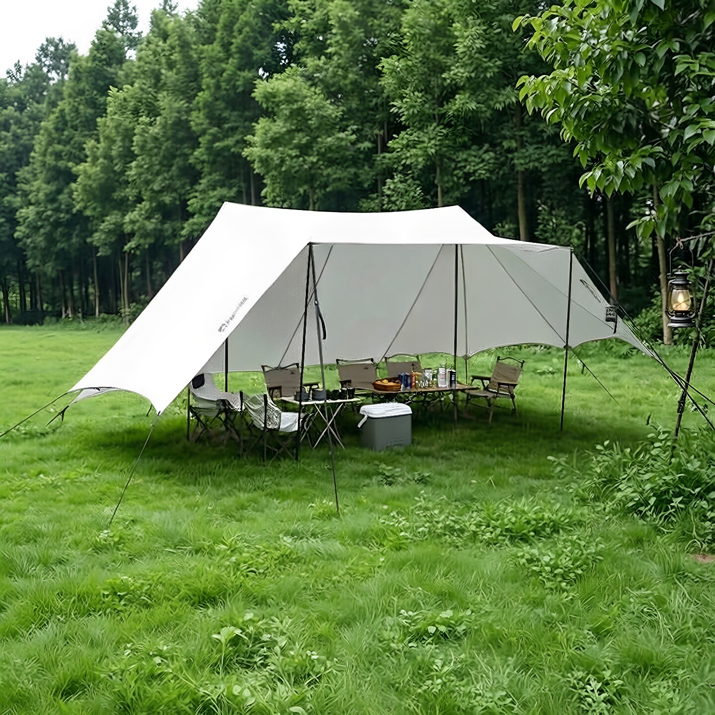 户外露营穹顶免搭建营地云顶装备天幕帐篷便携式野营防晒遮阳棚