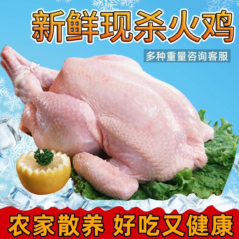新鲜现杀火鸡肉散养农家火鸡整只5-30斤感恩圣诞节烤火鸡整鸡全鸡