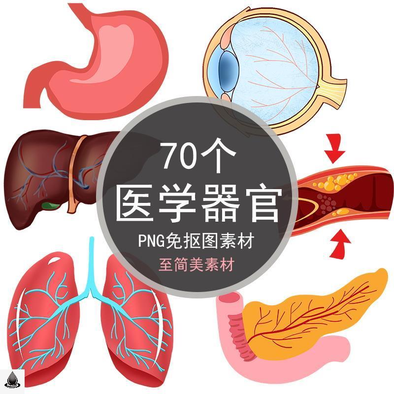 卡通医学人体器官png免抠图ppt插画装饰医疗手绘人体肝脏胃肠素材