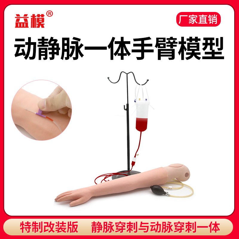 益模 动脉穿刺与静脉穿刺一体手臂训练模型 医护打针练习手模具