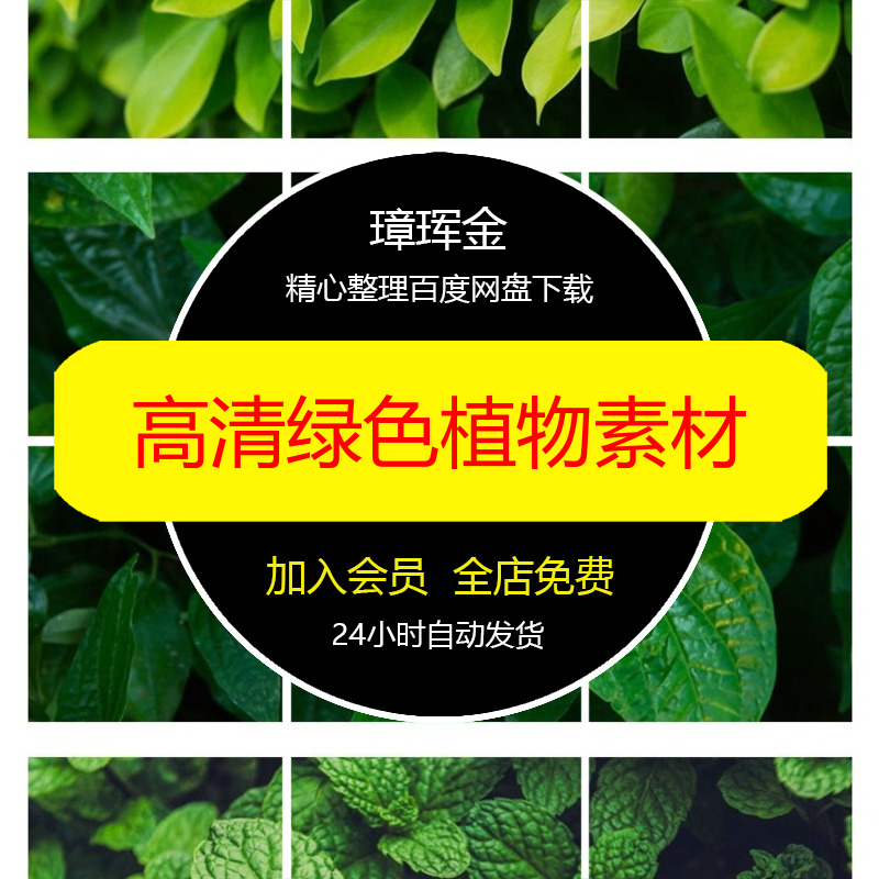 质感图片喷绘树木高清叶子打印合成设计摄影JPG绿色植物素材qf84