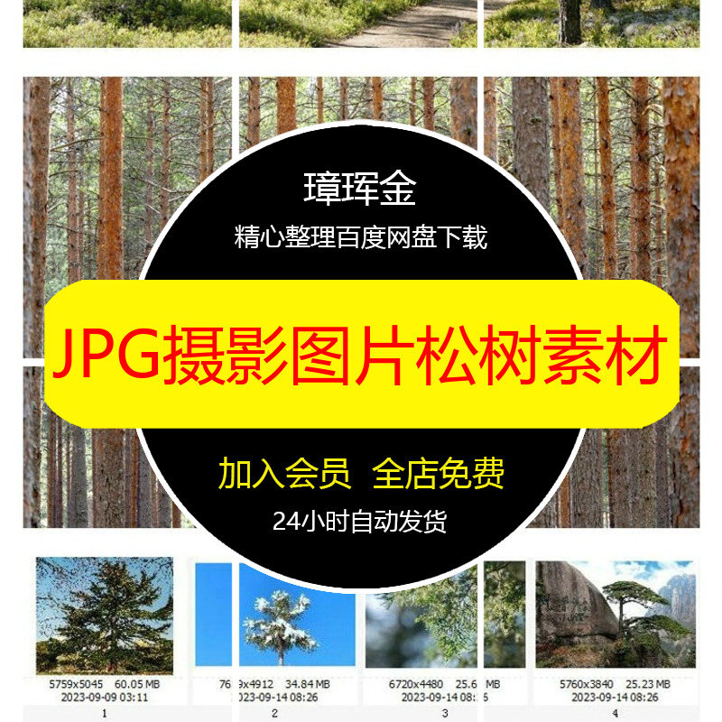 JPG树林高清图片设计松树合成树丛植物树木打印喷绘摄影素材fb87