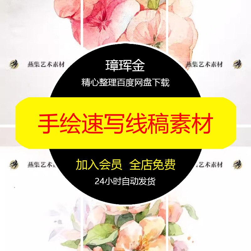 植物临摹图片教程手绘速写电子水彩美术生花卉绘画线稿素材vf13