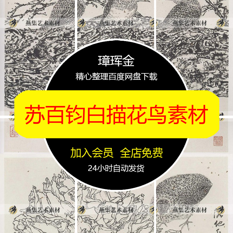 花鸟学习苏百钧线稿工笔电子版图片参考临摹白描绘画线描素材al96