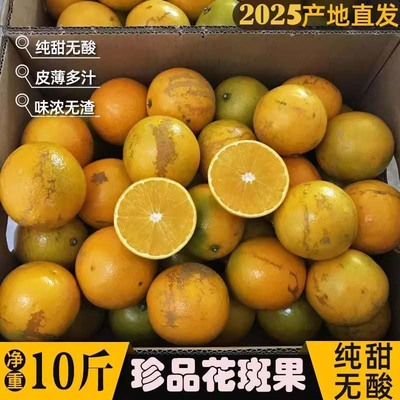 特级花斑果云南玉溪高原橙