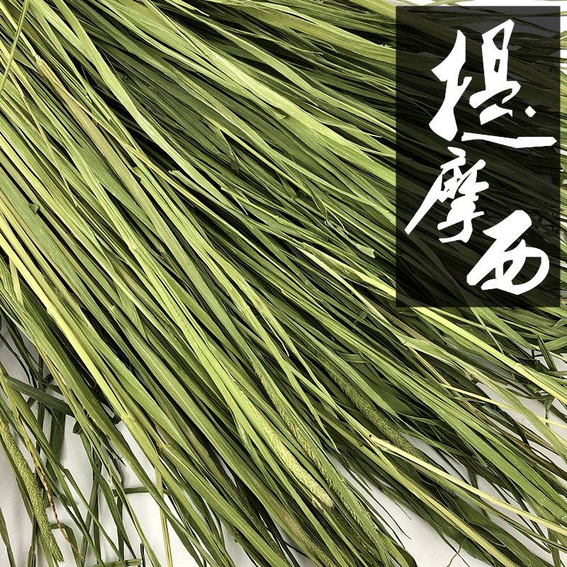 500g提莫陆龟烘干荷兰猪