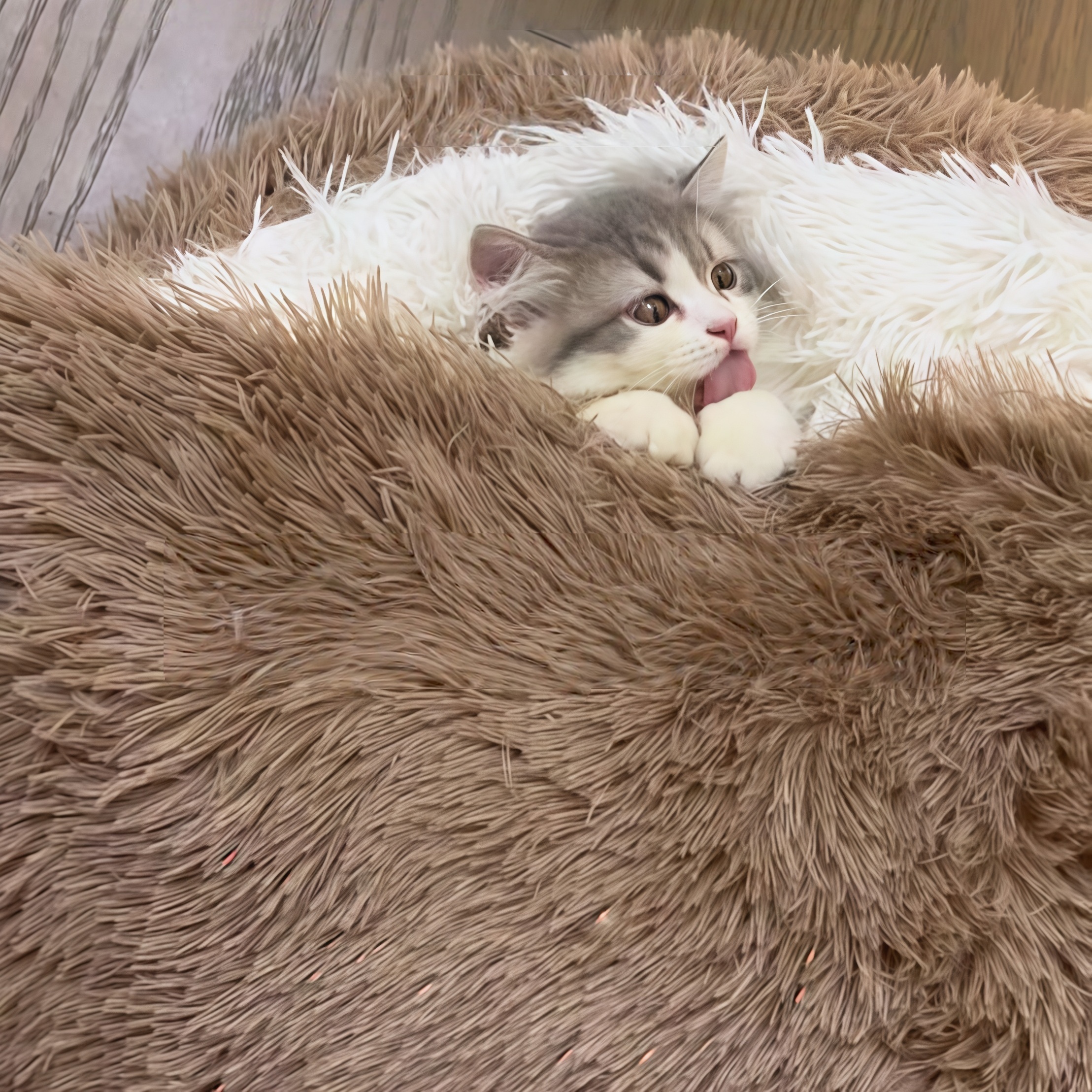 贝壳猫窝冬天保暖封闭式安全感小猫睡袋可拆洗宠物屋加厚宠物垫子