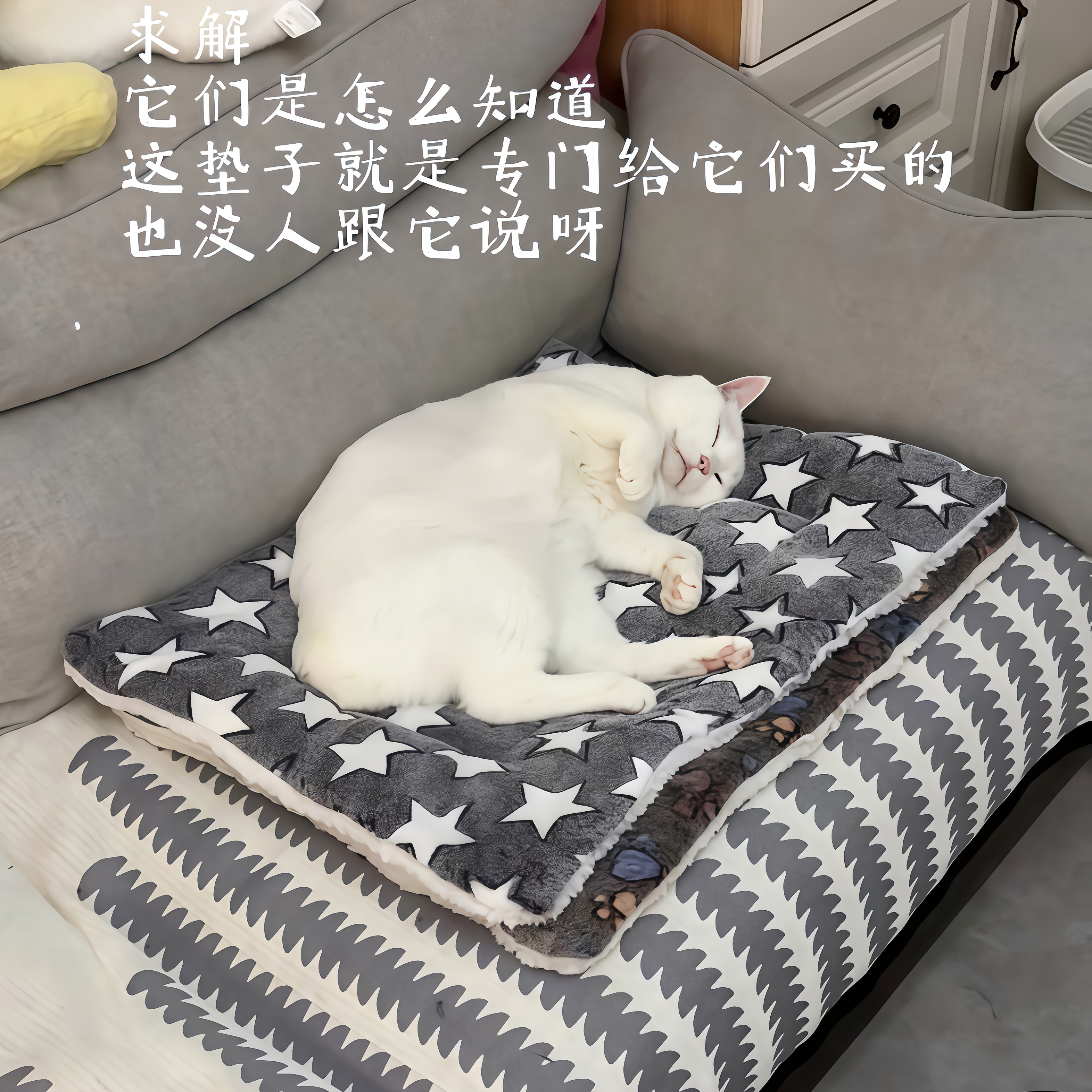 猫垫珊瑚绒垫子双面加厚保暖垫冬天趴趴垫狗窝狗垫子通用耐脏防污,宠物/宠物食品及用品,猫狗垫子,淘宝优惠券,粉丝福利购,淘宝优惠卷