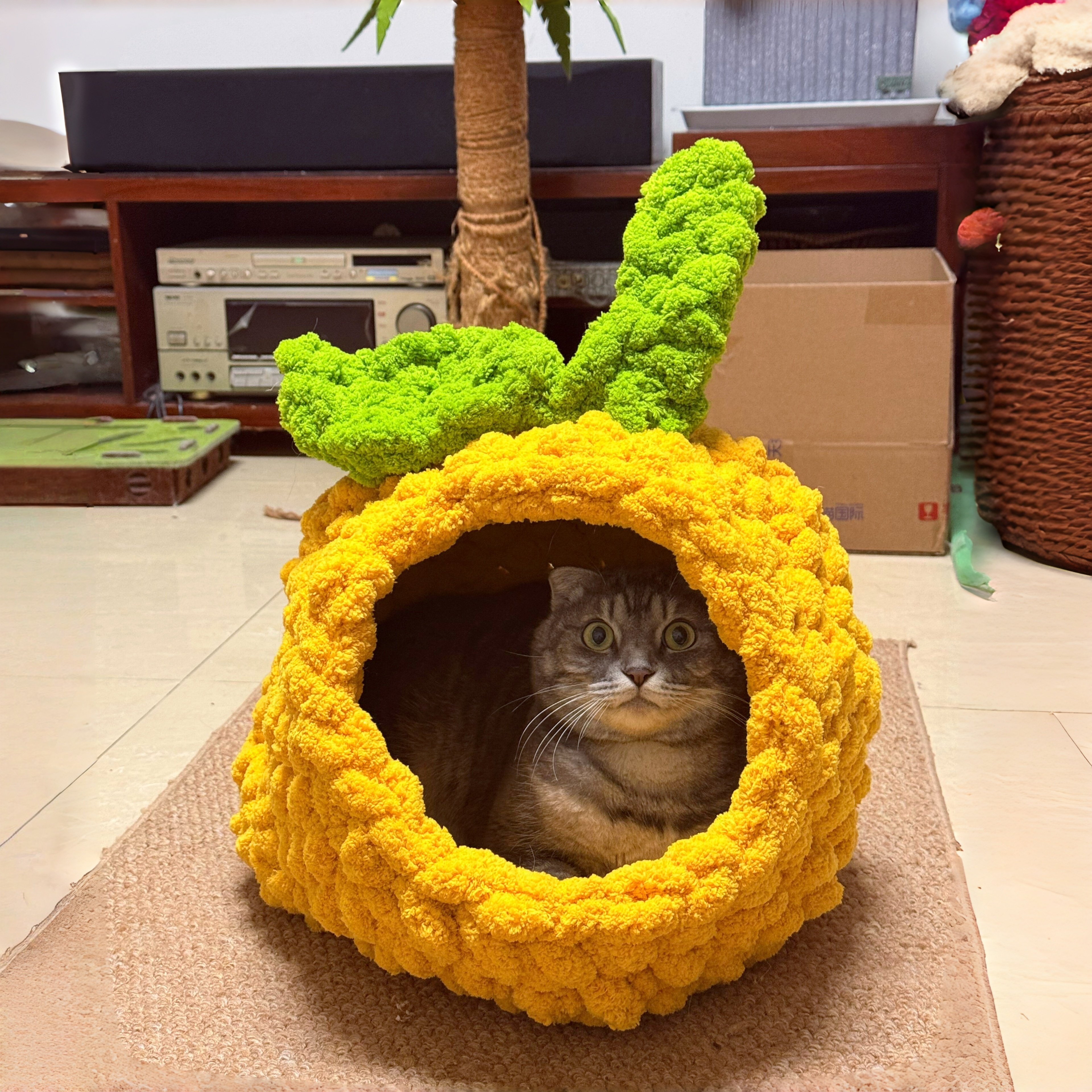 猫窝手工编织垫子新年装饰手工diy材料猫尾巴特粗冰条线猫垫毛绒,宠物/宠物食品及用品,猫窝/屋/帐篷/沙发,淘宝优惠券,粉丝福利购,淘宝优惠卷