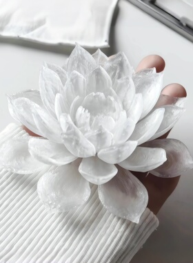 莲花摆件莲花灯3d打印桌面装饰品古风拍照道具送闺蜜同学手工礼物