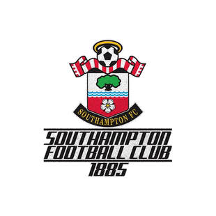 南安普敦队圣徒足球迷反光电动车摩托车汽车贴纸车门身贴后玻璃贴