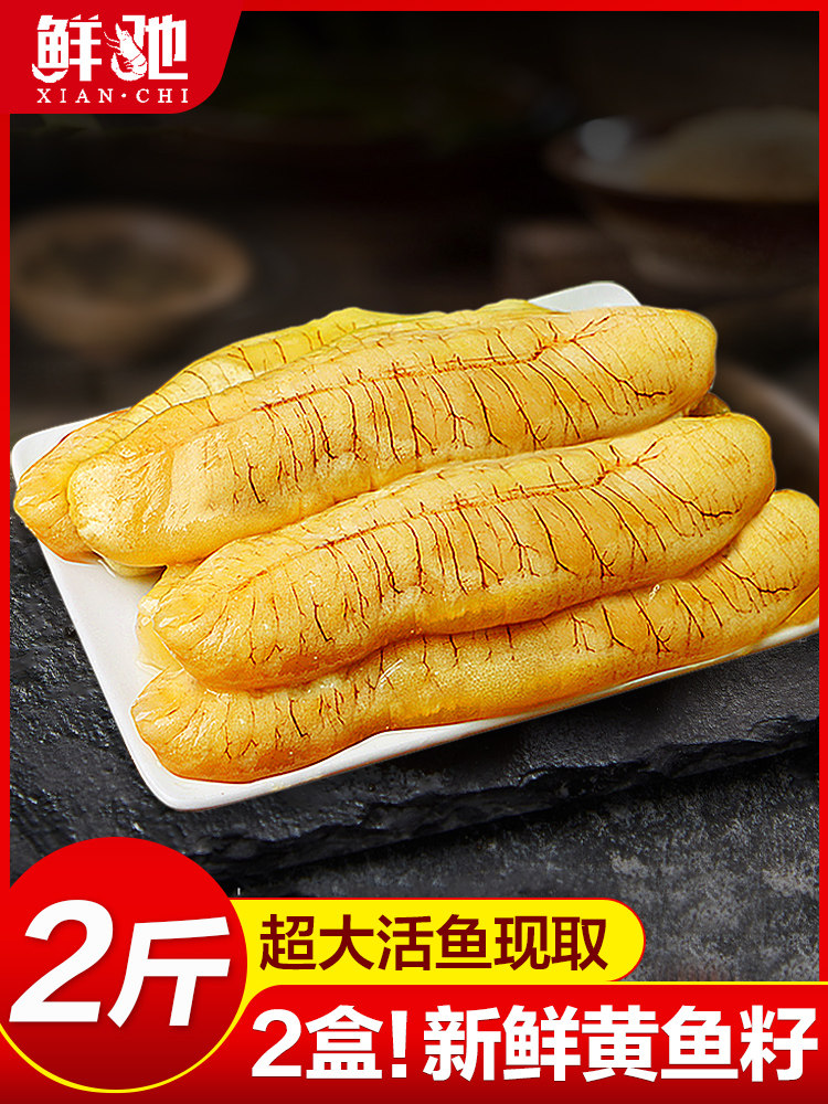 大黄花鱼子鱼籽鱼泡新鲜鲜活冷冻海产品深海鱼海鲜水产鱼中宝包邮