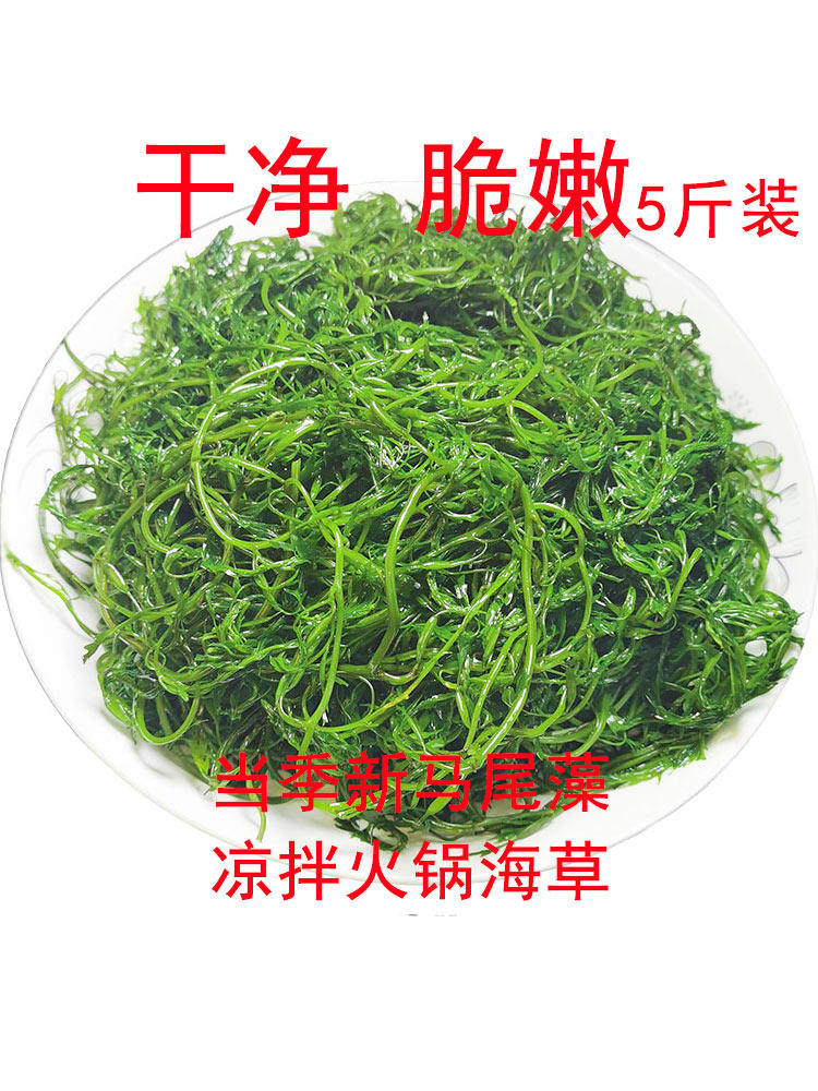 5斤盐渍马尾藻新鲜非干货即食海藻海草大麦长寿菜整箱凉拌菜火锅