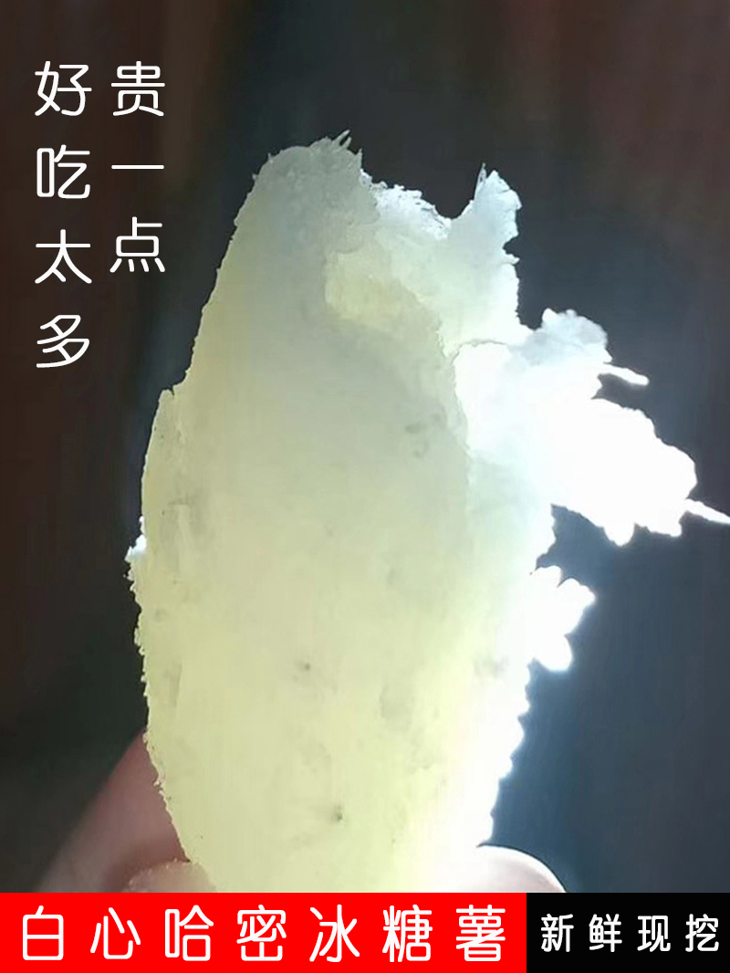 白心哈密冰糖薯新鲜冰糖心蜜薯红薯山东地瓜山芋哈蜜薯牛奶蜜薯