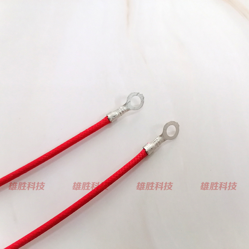 电饭煲电压力锅带线温度保险丝过温过载保护热熔断器216度250V10A