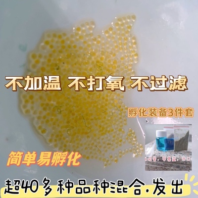 观背青鳉鱼卵150颗混发16品种混色锦鳉便宜原生冷水鱼小型观赏鱼