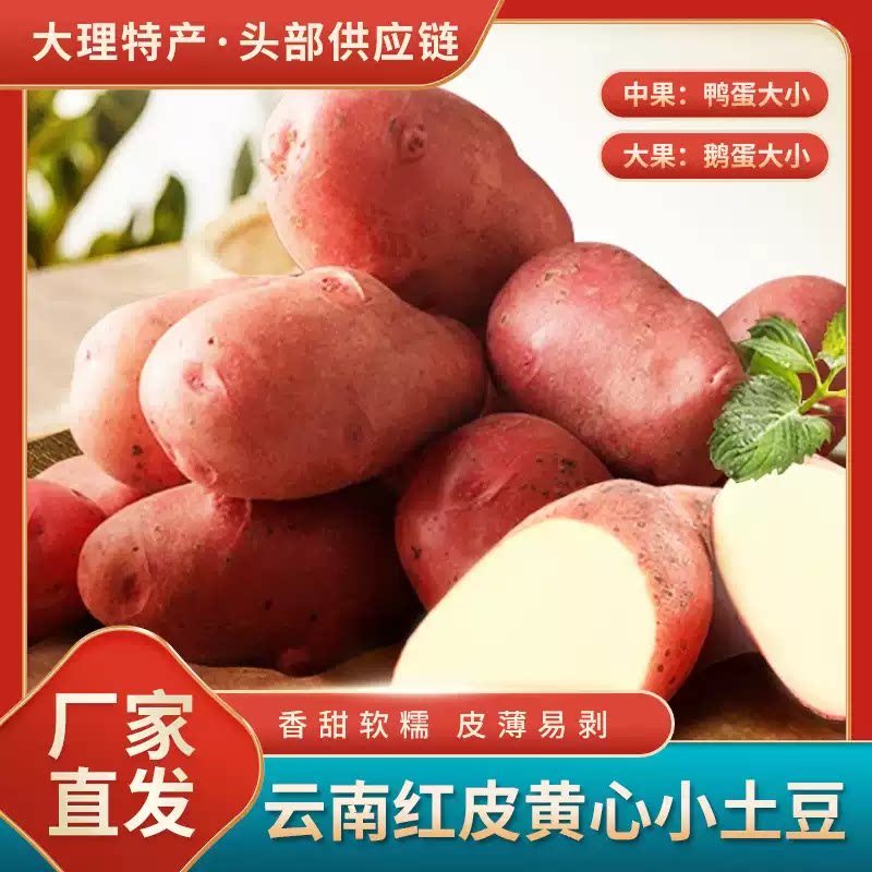云南高原种植花心洋芋土豆马铃薯
