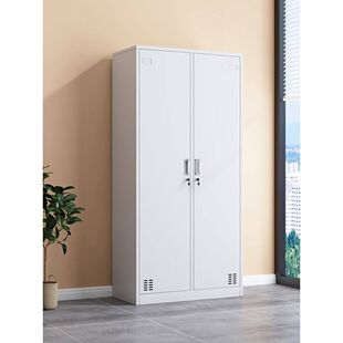 广州办公室护士两门更衣柜铁皮柜子2门宿舍换衣柜带锁双门储物柜