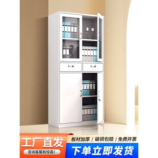 中二斗文件柜办公室落地储物柜矮柜带锁透明财务凭证柜铁皮资料柜