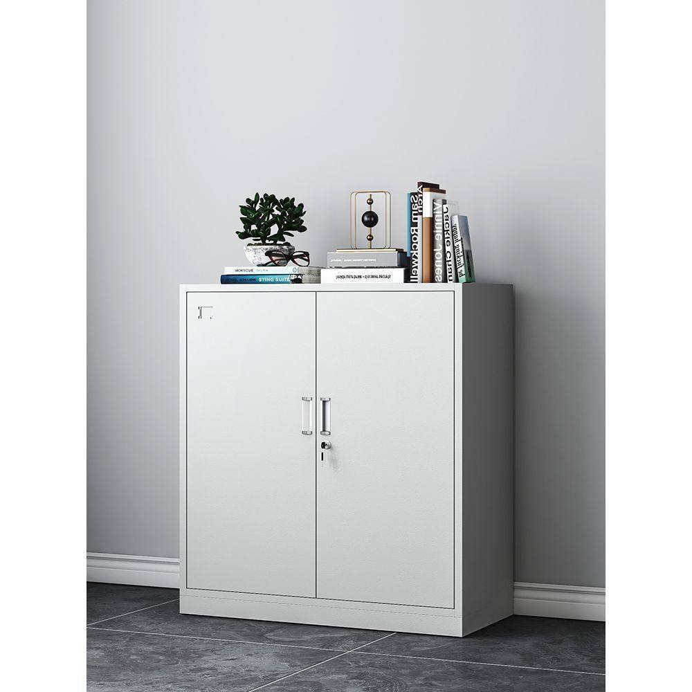 对开门矮柜办公室凭证档案文件柜侧边落地小型铁皮资料带锁储物柜,商业/办公家具,办公储物柜,淘宝优惠券,粉丝福利购,淘宝优惠卷