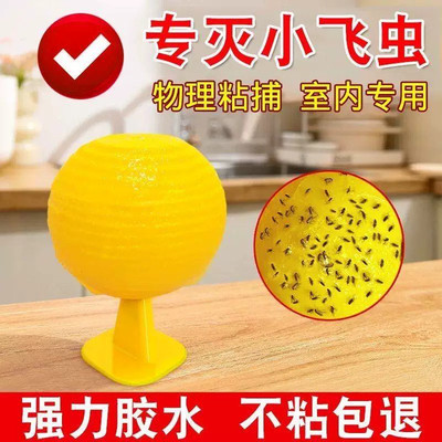 除蚊虫克厨房小蠓虫粘虫球诱苍蝇