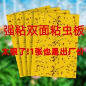 粘虫板大棚专用黄板双面小黑飞果蝇诱捕器诱虫板贴纸农用家用花园