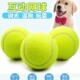 狗狗玩具球自嗨解闷神器宠物边牧金毛柯基耐咬球训练磨牙网球橡胶