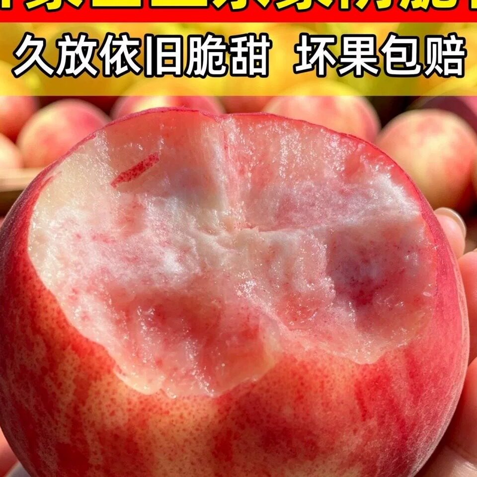 沂蒙山现摘脆桃当季新鲜