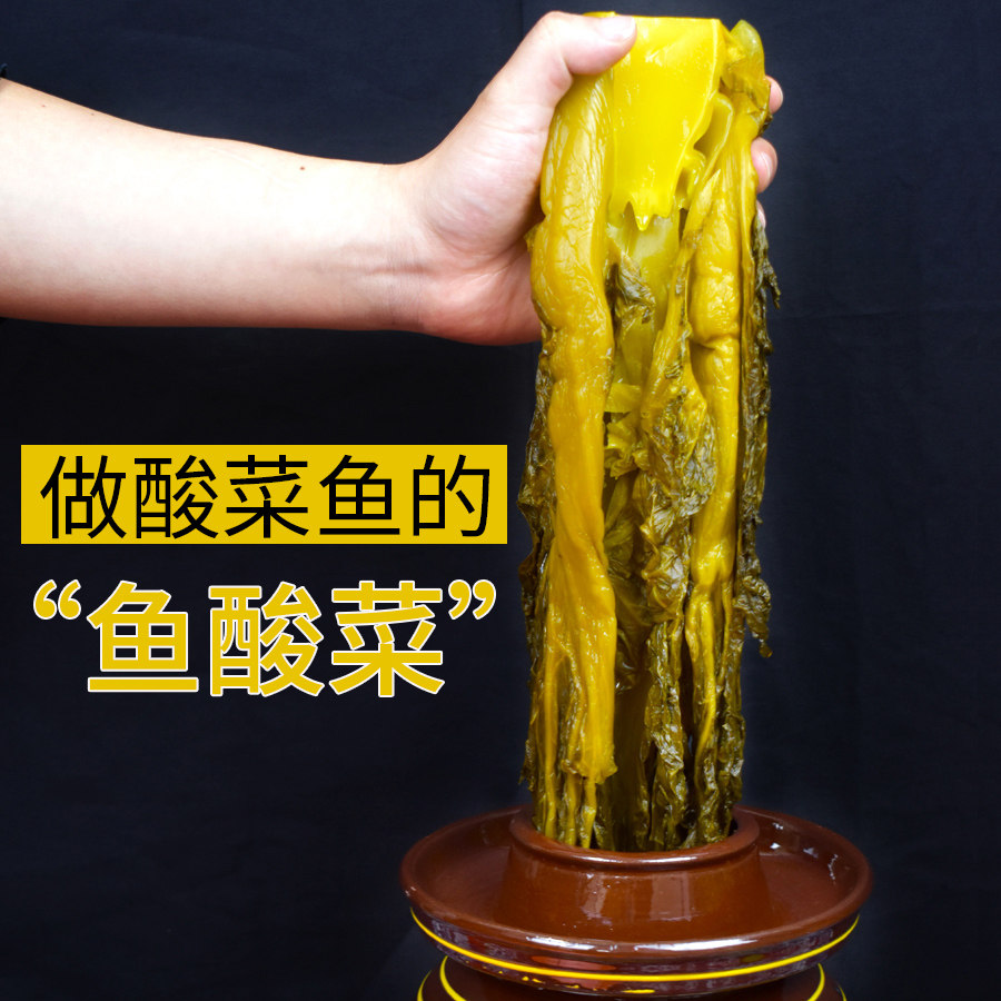 四川泡青菜老坛泡酸菜酸菜鱼调料鱼酸菜农家自制家用腌制青菜