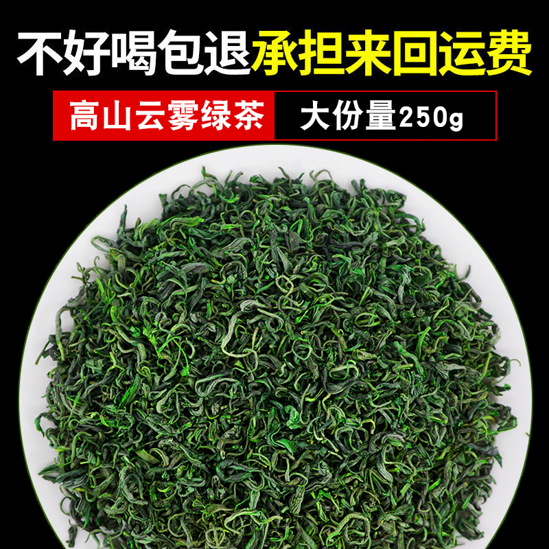 【一斤500g】高山绿茶新茶浓香型茶叶散装日照充足绿茶非毛尖