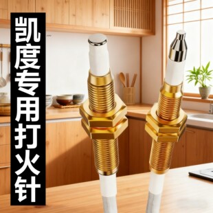 凯度集成灶燃气灶点火针天然气感应针电子打火针热电偶电磁阀探头
