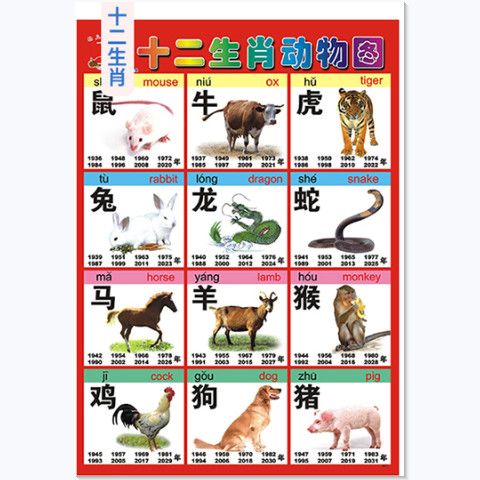 十二生肖挂图无声挂图十二生肖动玩具挂图/认知卡