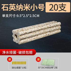 搞怪原种苏太电动向往的生活震动哄娃沙滩玩偶可儿童细菌屋鱼缸
