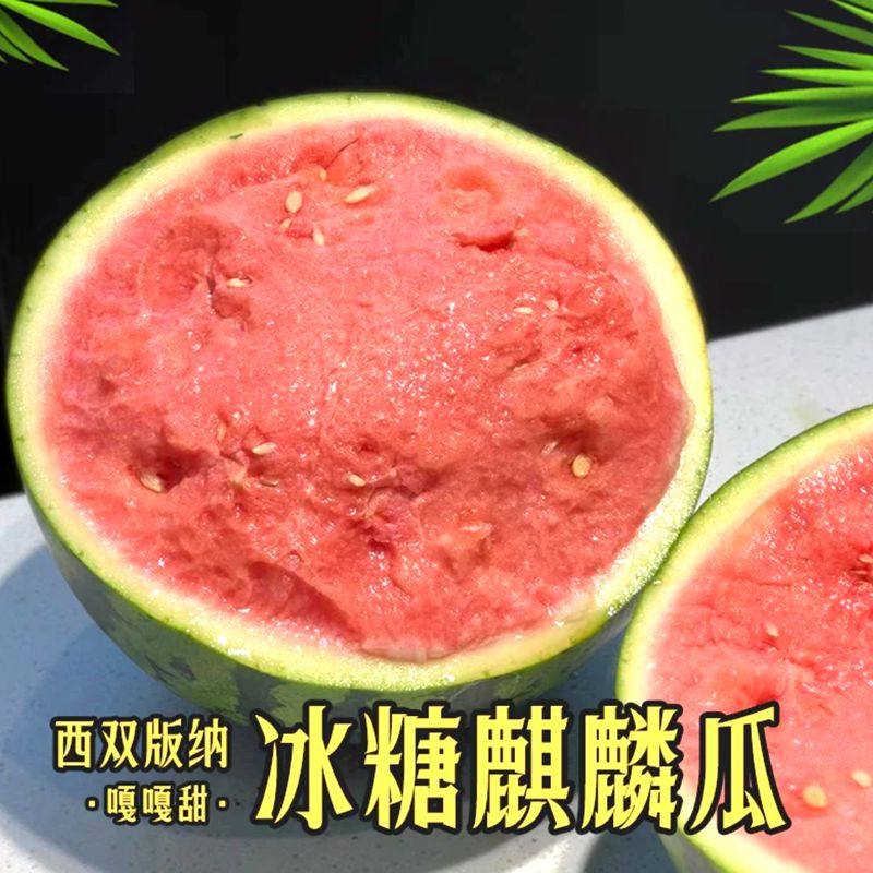 西双版纳西瓜之乡正宗新鲜采摘8424麒麟现卖超甜薄皮孕妇水果美都,水产肉类/新鲜蔬果/熟食,西瓜,淘宝优惠券,粉丝福利购,淘宝优惠卷