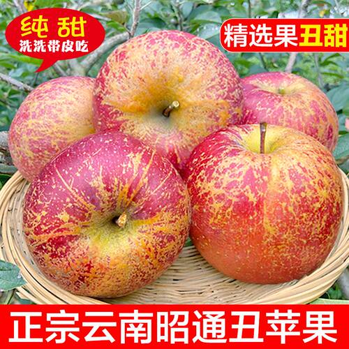 新鲜云南昭通丑苹果红富士